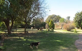 2.1 ha Smallholding in Vleikop AH