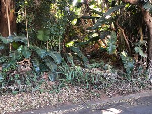 1515 m² Land available in Marina Beach
