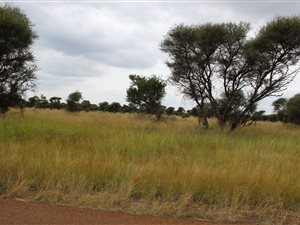 1807 m² Land available in Northam