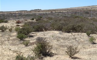 600 m² Land available in Langebaan North