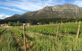 752 m² Land available in Paradyskloof