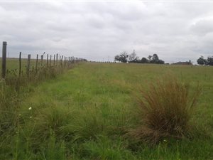3 ha Land available in Sundra