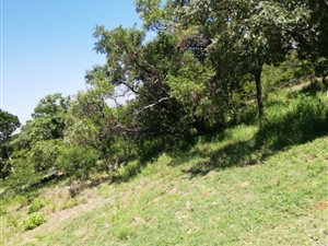 905 m² Land available in Seasons Lifestyle Estate