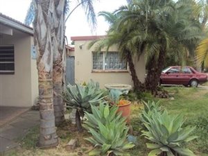 1 Bedroom Apartment in Arauna