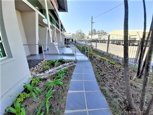 230 m² Office Space in Pinelands