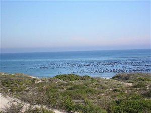 400 m² Land available in Cape St Martin