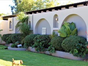 4.4 ha Farm in Rietfontein