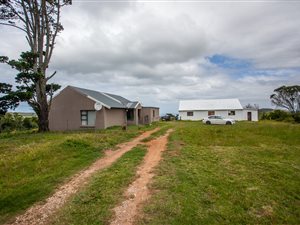 14.9 ha Farm in De Stades