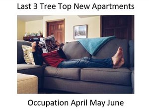 2 Bedroom Flat in Emmarentia