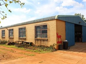 4.3 ha Farm in Bashewa