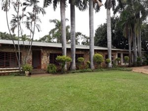 21.4 ha Farm in Tzaneen
