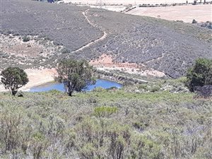 138 ha Farm in Bot River