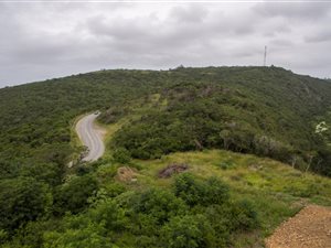 602 m² Land available in Dorchester Heights