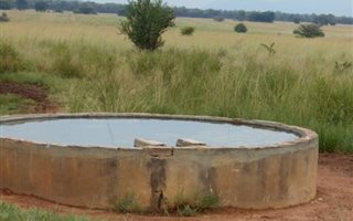 774 ha Farm in Alma