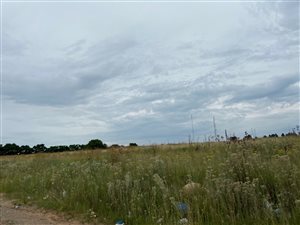 4 ha Farm in Blue Hills