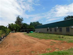 2 ha Farm in Knopjeslaagte