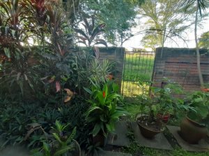 3 Bed Townhouse in Arboretum