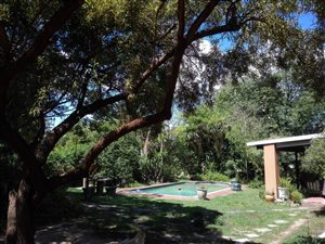 1.5 Bedroom Garden Cottage in Johannesburg North