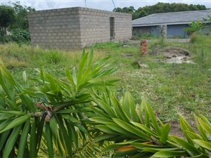 700 m² Land available in Arboretum