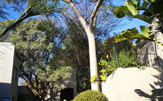 3 Bedroom Duplex in Waterkloof Glen