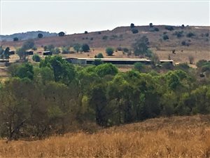 4300 m² Land available in Laezonia