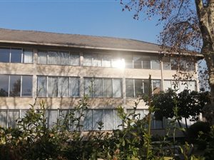 2 Bed Apartment in Bordeaux