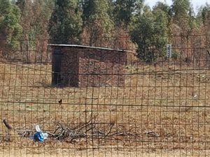 Farm in Delmas