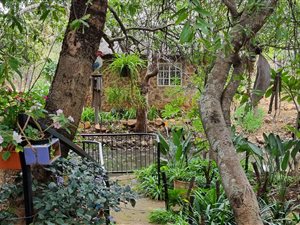 21 ha Farm in Bela-Bela (Warmbaths)