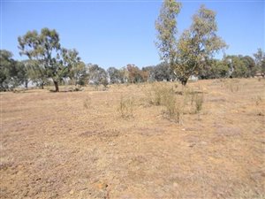 2 ha Land available in Ophir AH