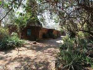 4 ha Land available in Sonnedal