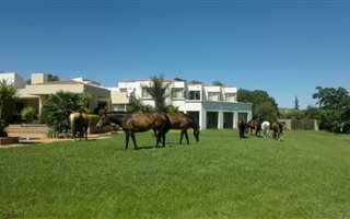 1.6 ha Land available in Linbro Park