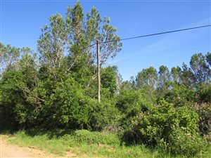1225 m² Land available in Bathurst and Surrounds