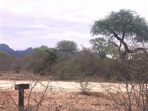 5757 m² Land available in Blyde Wildlife Estate
