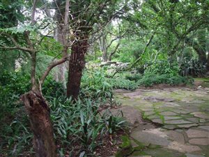 5 ha Farm in Sabie
