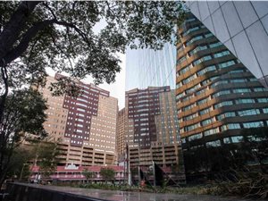 1 Bed Apartment in Johannesburg Central and CBD