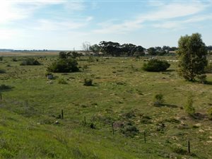 8.9 ha Farm in Vredenburg