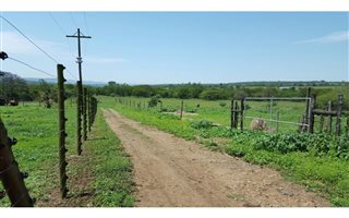 1.7 ha Farm in Ashburton