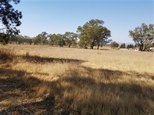 2.6 ha Farm in Drumblade AH