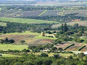 3527 m² Land available in Bathurst and Surrounds
