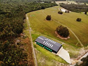 11.1 ha Farm in Sedgefield