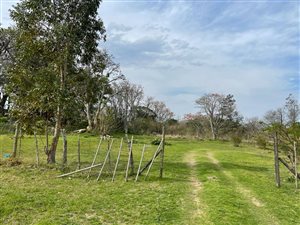 1500 m² Land available in King Williams Town