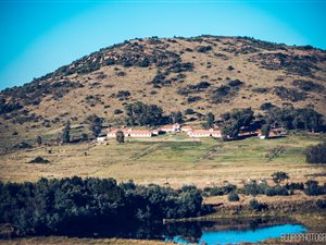 574 m² Commercial Farm in Heidelberg Central
