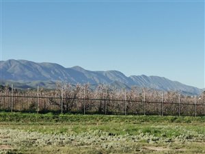 560 m² Land available in Robertson