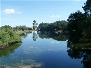 7.3 ha Farm in Machadodorp