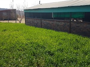 23 ha Farm in Hekpoort