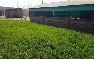 23 ha Farm in Hekpoort