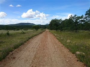 89 ha Farm in Musina