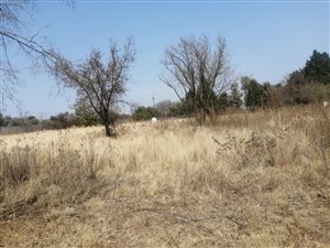 2569.6 ha Agricultural Holding in Blue Hills