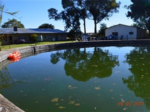4 Bedroom House in Koster