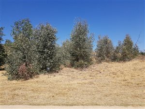 1423 m² Land available in Kameeldrift